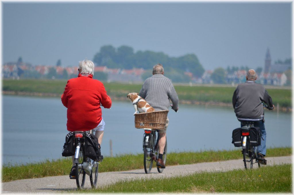 ouderen aan het fietsen langs het water, 1 fietser heeft een hondje in een mand achter op de fiets